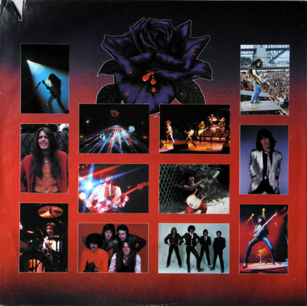 Black Rose (A Rock Legend)
