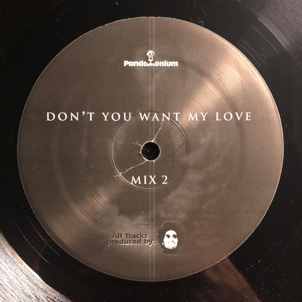 Kenny Dixon Jr. - Don't You Want My Love | Pandamonium (PR 19) - 2