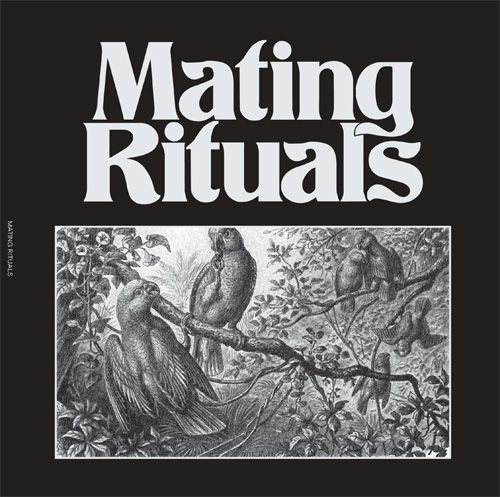 Martin Hayes - Black Pepper EP | Mating Rituals (MAIT001) - main Martin Hayes - Black Pepper EP | Mating Rituals (MAIT001) - main
