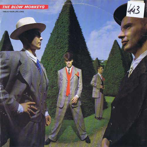The Blow Monkeys - This Is Your Life Long | RCA (PT 42150) - 7 The Blow Monkeys - This Is Your Life Long | RCA (PT 42150) - 7