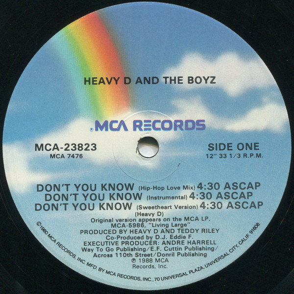 Heavy D And The Boyz - Don't You Know / Moneyearnin' Mount Vernon | MCA Records (MCA-23823) - main