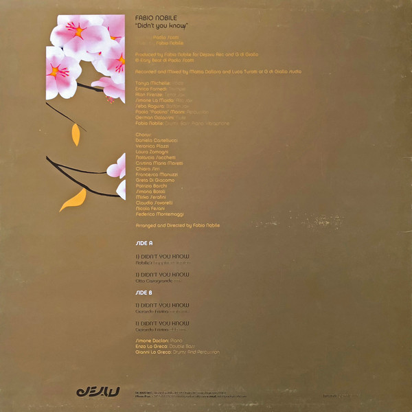 Fabio Nobile - EP Vol.3 - Didn't You Know | Dejavu (djv 3000016) - 2 Fabio Nobile - EP Vol.3 - Didn't You Know | Dejavu (djv 3000016) - 2