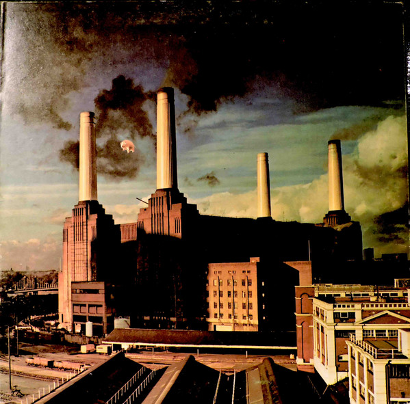 Animals