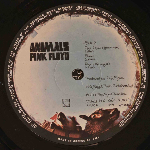 Animals