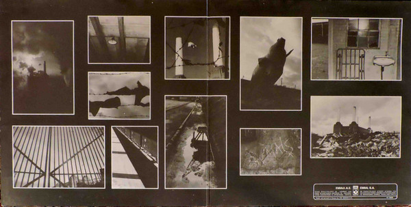 Animals