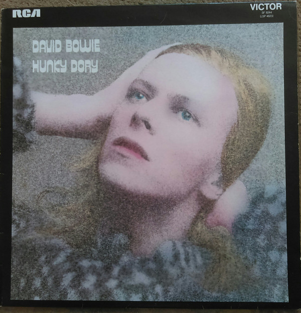 Hunky Dory