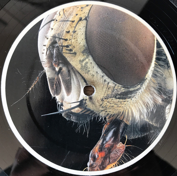 Arctor - Monachopsis | Coincidence Records (.v001) - 2