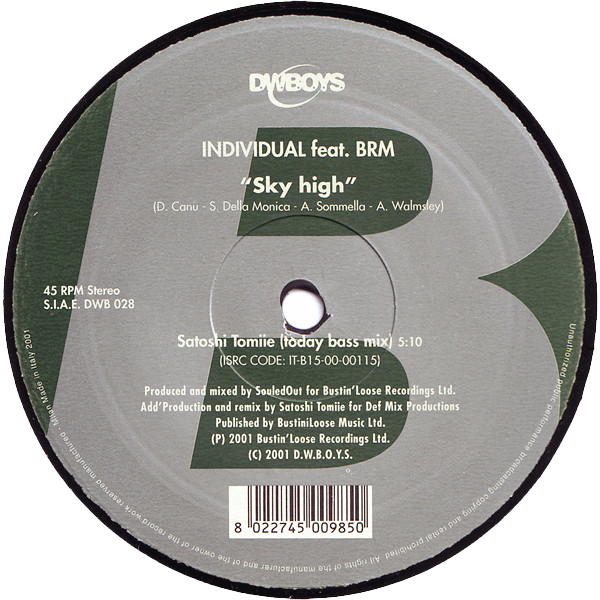 Individual Feat. Billie Ray Martin - Sky High | DWBoys (DWB 028) - 2