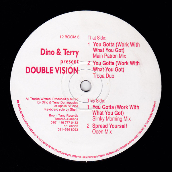 Dino & Terry Present Double Vision - You Gotta (Work With What You Got) | Boomtang Records (12 BOOM 6) - main