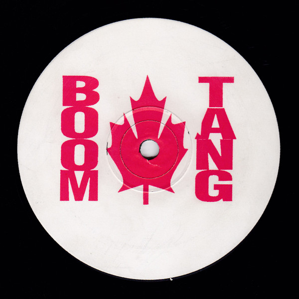 Dino & Terry Present Double Vision - You Gotta (Work With What You Got) | Boomtang Records (12 BOOM 6) - 2