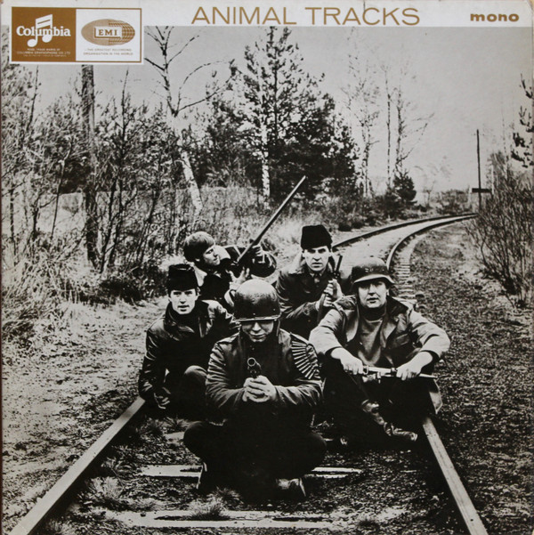 Animal Tracks
