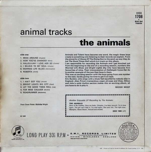 Animal Tracks