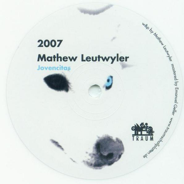 Mathew Leutwyler / Joint Custody - 2007 | Traum Schallplatten (TRAUM V94)