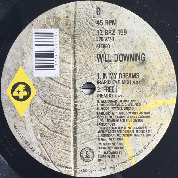 Will Downing - The Remix E.P. | 4th & Broadway (12 BRZ 159) - 4 Will Downing - The Remix E.P. | 4th & Broadway (12 BRZ 159) - 4