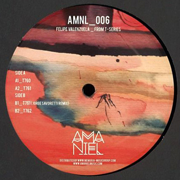 Felipe Valenzuela - From T-Series | Amaniel (AMNL_006) - main