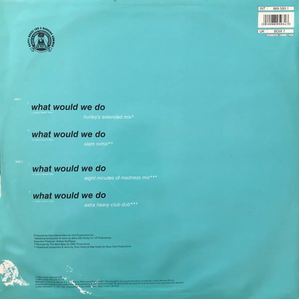 D.S.K. - What Would We Do | Boy's Own Productions (BOIX 7) - 2 D.S.K. - What Would We Do | Boy's Own Productions (BOIX 7) - 2