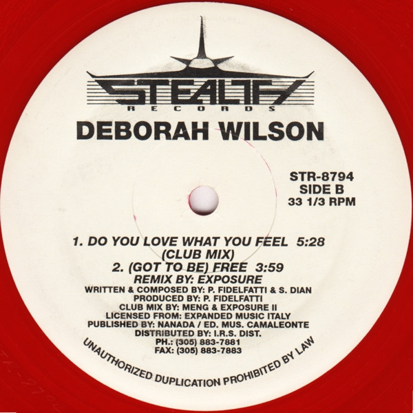 Deborah Wilson - Do You Love What You Feel | Stealth Records (STR-8794) - 2 Deborah Wilson - Do You Love What You Feel | Stealth Records (STR-8794) - 2