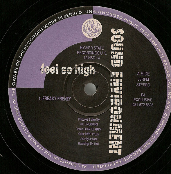 Sound Environment - Feel So High | Higher State Records (12 HSD 14)