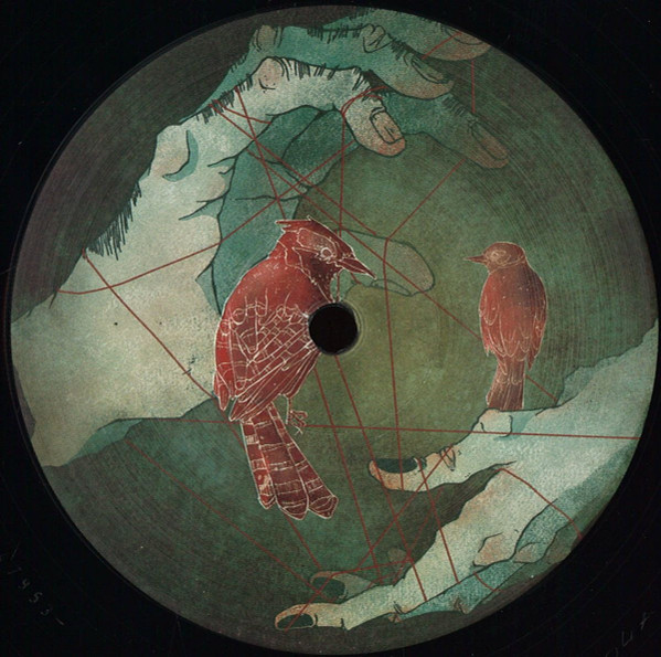 Dragosh - Paradox Action Vivid | No Time For Love (NTFL004) - main