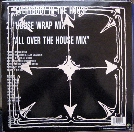 Navigator - Everybody In The House | Chameleon Records (V-74554) - 2