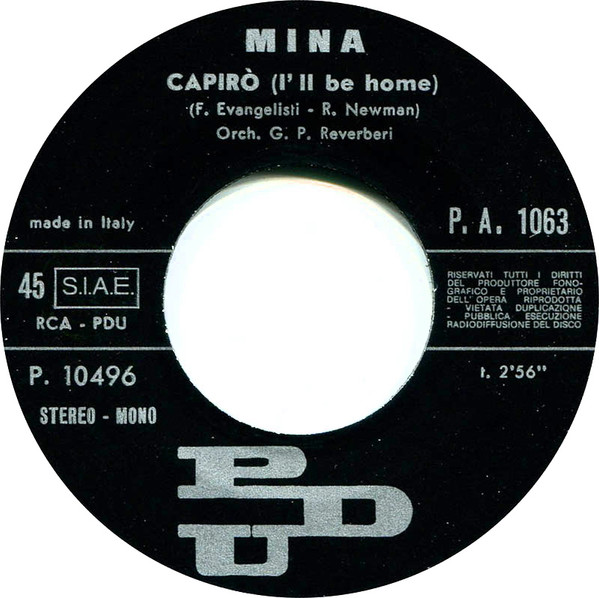 Mina - Amor Mio | PDU (P.A. 1063) - 4