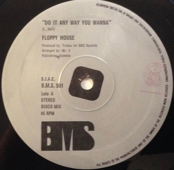 Floppy House - Do It Any Way You Wanna / Bubble | BMS Records (B.M.S. 501) - main