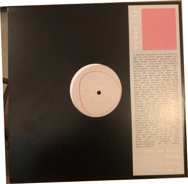 Wild Geese - The Wild Geese EP | was / is (WI05) - 4