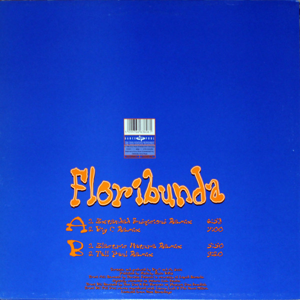 Mother's Pride - Floribunda | Dance Pool (DAN 666360 1) - 2