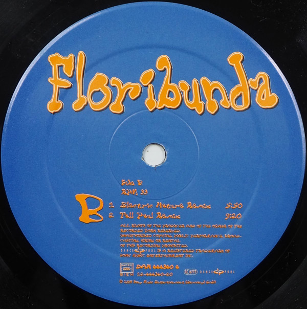Mother's Pride - Floribunda | Dance Pool (DAN 666360 1) - 4
