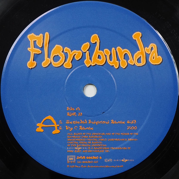 Mother's Pride - Floribunda | Dance Pool (DAN 666360 1) - 3