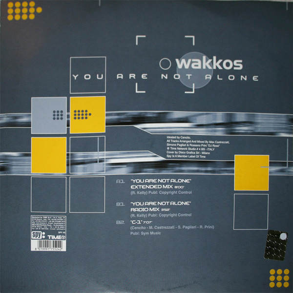 Wakkos - You Are Not Alone | Spy Rec (SPY 45) - 2