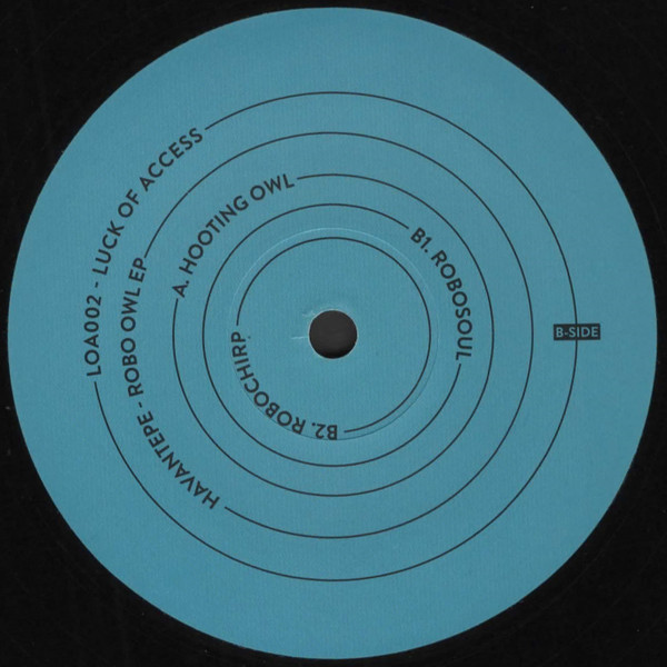 Havantepe - Robo Owl EP | Luck Of Access (LOA002) - 3