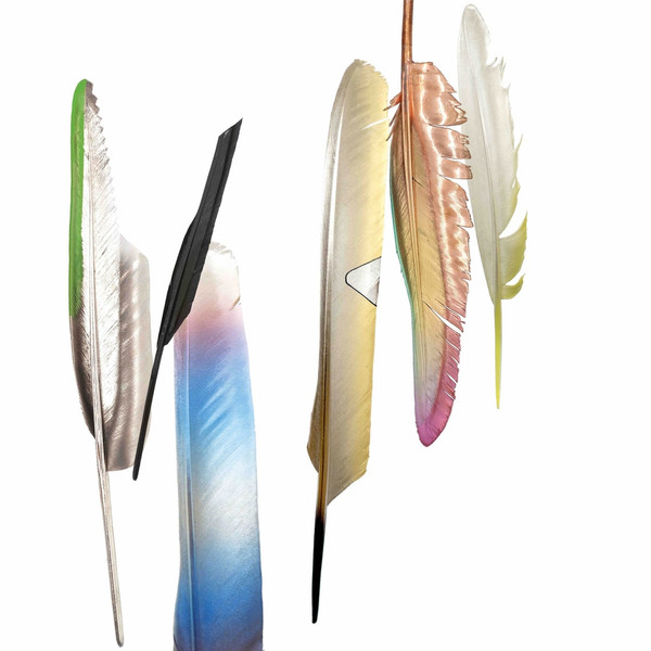 Powell , Tillmans - Spoken By The Other | XL Recordings (XL965T) - main Powell , Tillmans - Spoken By The Other | XL Recordings (XL965T) - main