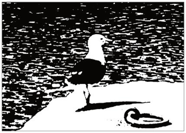TapesJamaican - Zero Seagull EP | First Cut (First Cut 005) - 3