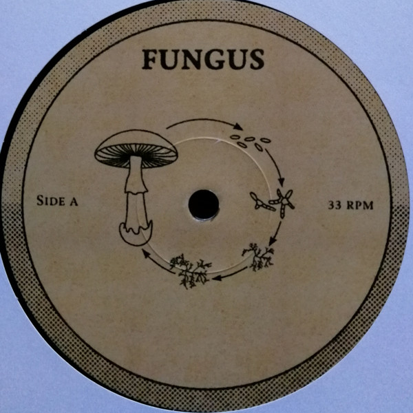 Made In M & Walterwarm - Fungus | Guayaba Records (none) - 4