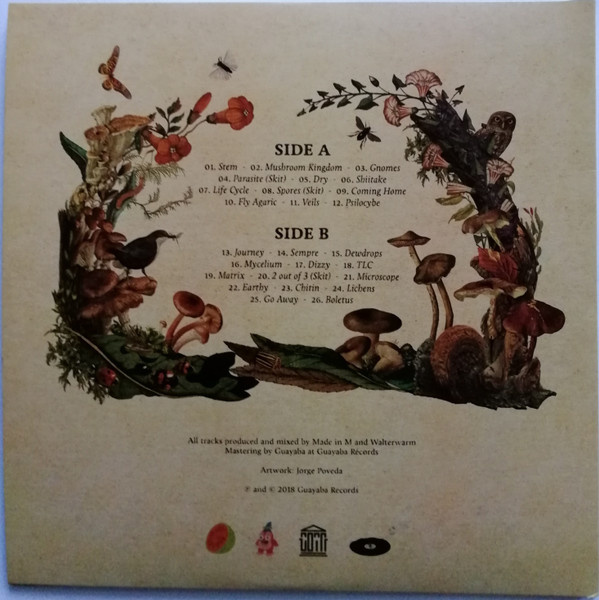 Made In M & Walterwarm - Fungus | Guayaba Records (none) - 3