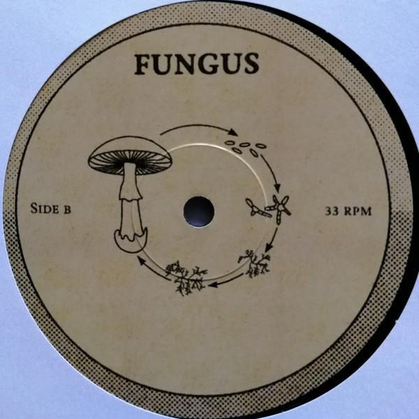 Made In M & Walterwarm - Fungus | Guayaba Records (none) - 5