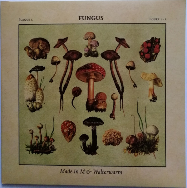 Made In M & Walterwarm - Fungus | Guayaba Records (none) - main