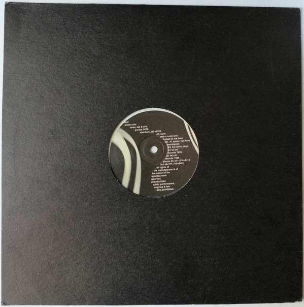 Transient Waves - Born With A Body And Fucked In The Head | FatCat Records (12fat010) - 4