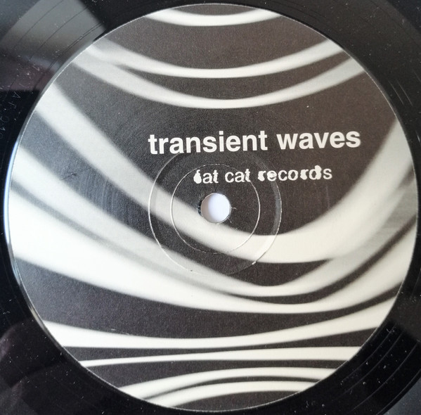 Transient Waves - Born With A Body And Fucked In The Head | FatCat Records (12fat010)