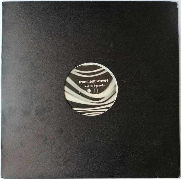 Transient Waves - Born With A Body And Fucked In The Head | FatCat Records (12fat010) - 3