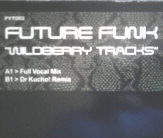 Future Funk - Wildberry Tracks | Python Records (PYT002) - main