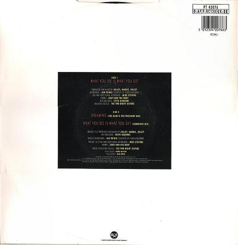 Glen Goldsmith - What You See Is What You Get | RCA (PT 42076) - 2