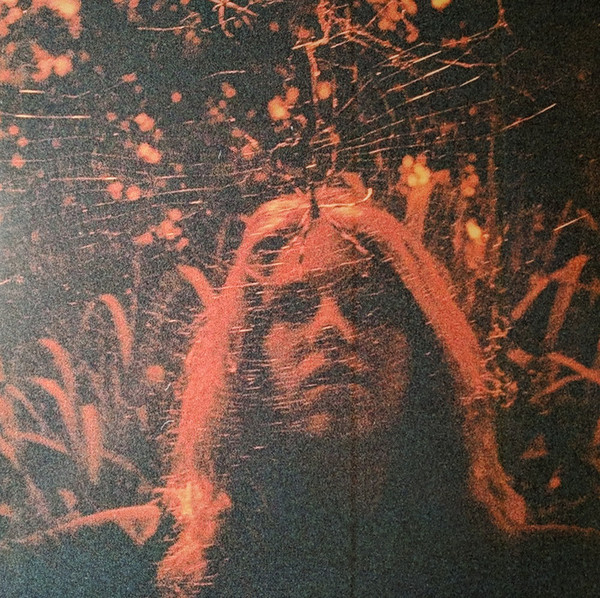 Turnover - Peripheral Vision | Run For Cover Records (RFC122) - main Turnover - Peripheral Vision | Run For Cover Records (RFC122) - main