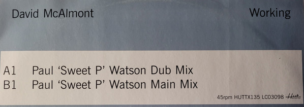 David McAlmont - Working | Hut Recordings (HUTTX135) - 4 David McAlmont - Working | Hut Recordings (HUTTX135) - 4