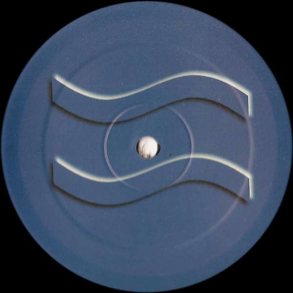 Paul Rogers & Pete Bones - Tampa Blues | Sumsonic (SS017) - 2