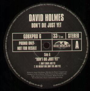 David Holmes - Don't Die Just Yet | Go! Beat (GOBXPRO 6)