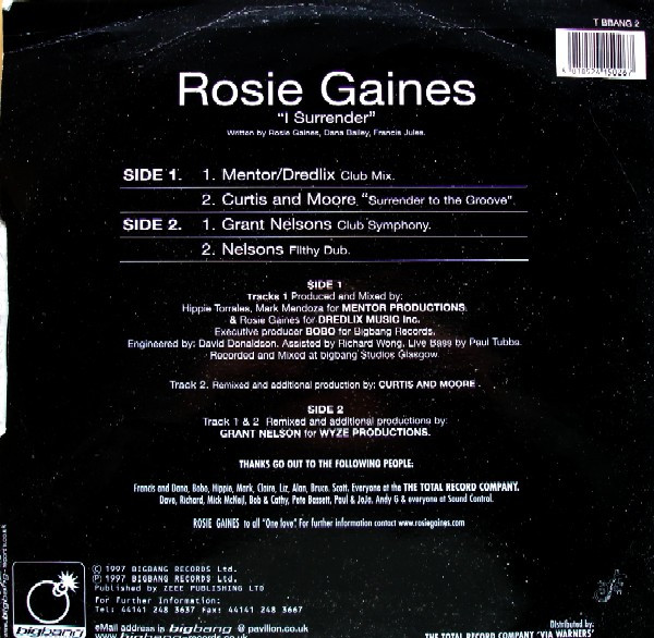 Rosie Gaines - I Surrender | Bigbang Records (T BBANG 2) - 2
