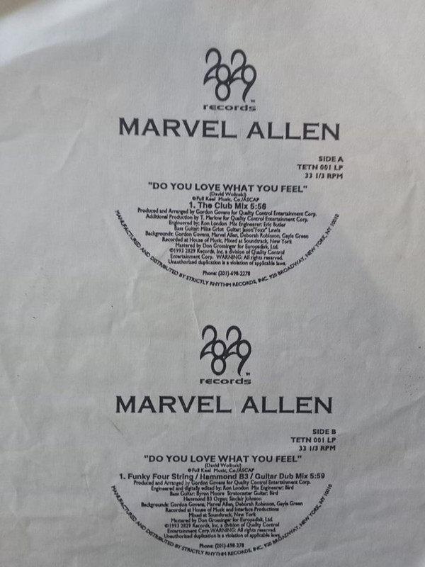 Marvel Allen - Do You Love What You Feel | 2829 Records (TETN 001 LP) - main Marvel Allen - Do You Love What You Feel | 2829 Records (TETN 001 LP) - main