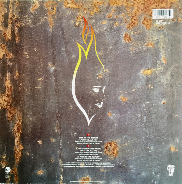 Matt Bianco - Fire In The Blood | EastWest (YZ532T) - 2